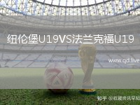 纽伦堡U19VS法兰克福U19