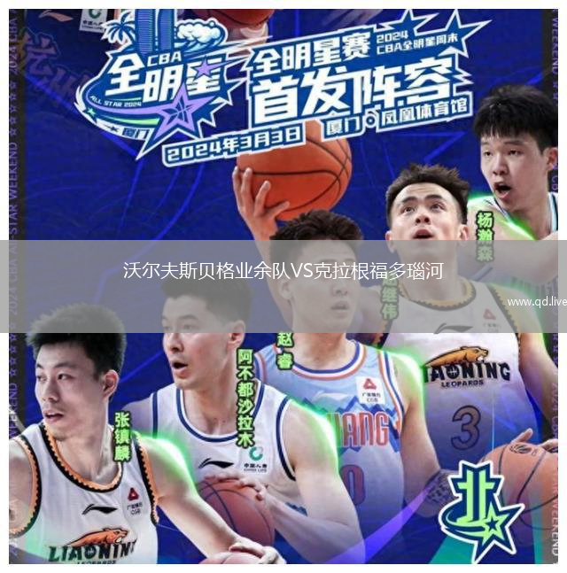 沃尔夫斯贝格业余队VS克拉根福多瑙河