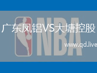 广东凤铝VS大塘控股