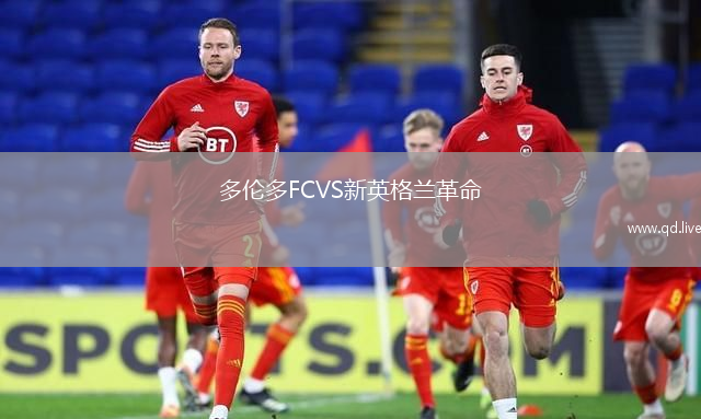 多伦多FCVS新英格兰革命