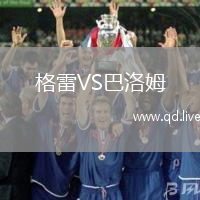 格雷VS巴洛姆