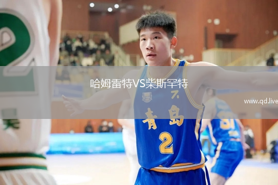 哈姆雷特VS柴斯罕特