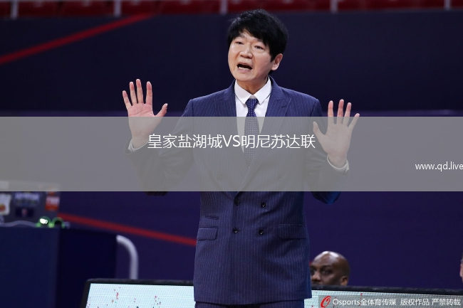 皇家盐湖城VS明尼苏达联
