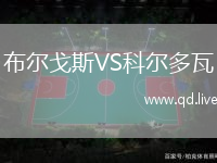 布尔戈斯VS科尔多瓦